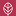 favicon.png